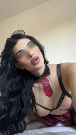 TS Megan Party