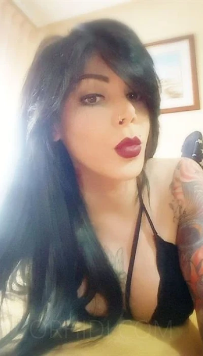 TRANS ANYIN