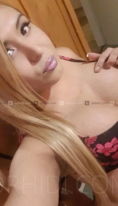 TRANS SARA HOT LATINA