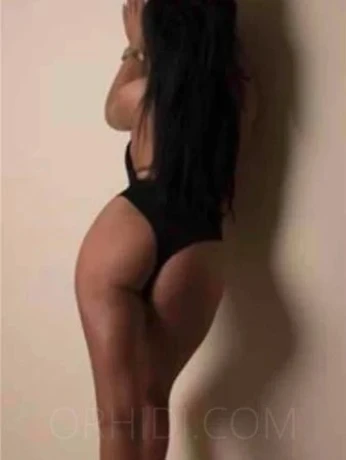 Paloma