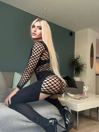 Trans MARIA