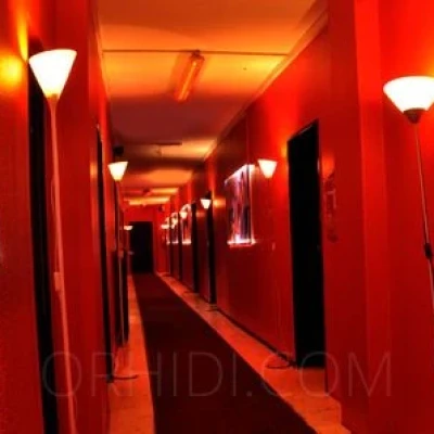 Eroscenter - Laufhaus  Regensburg
