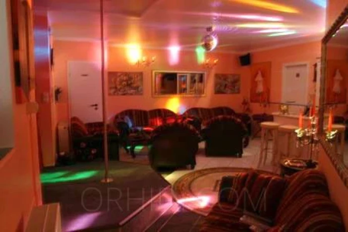 Hotcats Club