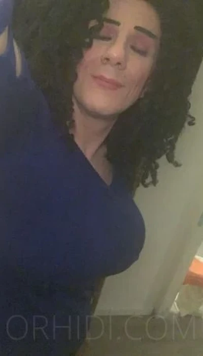 Trans Rio Van Lopez