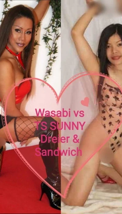 Wasabi X Tssunny Sandwich Hamburger Geld Zuruck Garantie