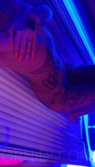 Deutsche Stella Deluxe